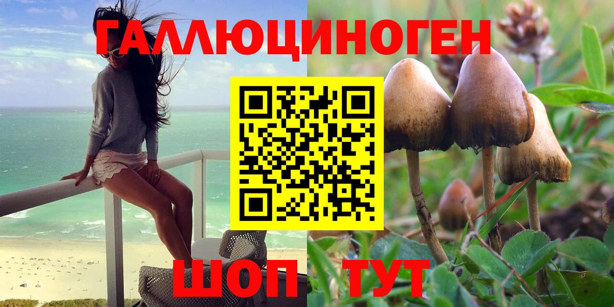 Галлюциногенные грибы Magic Shrooms  Вход с VPN  Элиста 