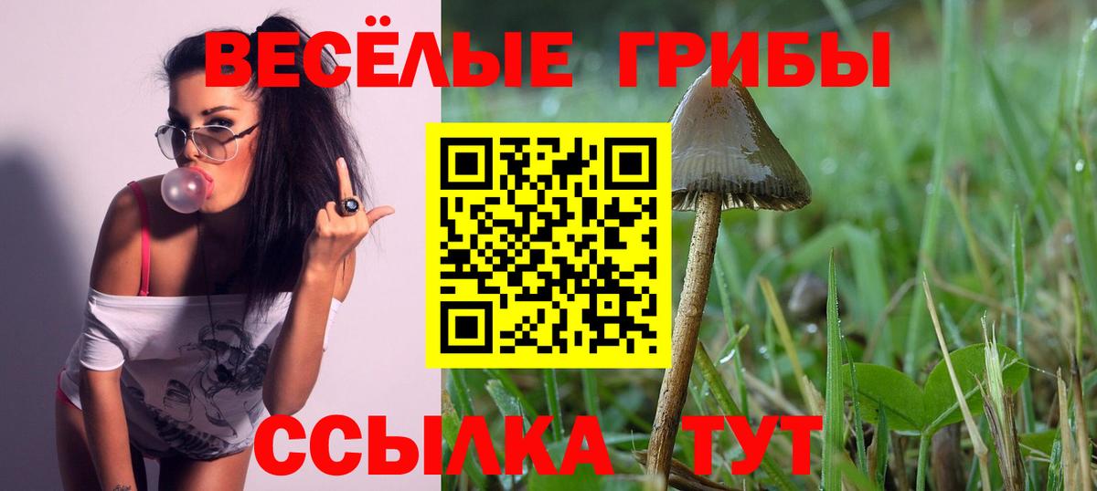 Галлюциногенные грибы MAGIC MUSHROOMS Элиста